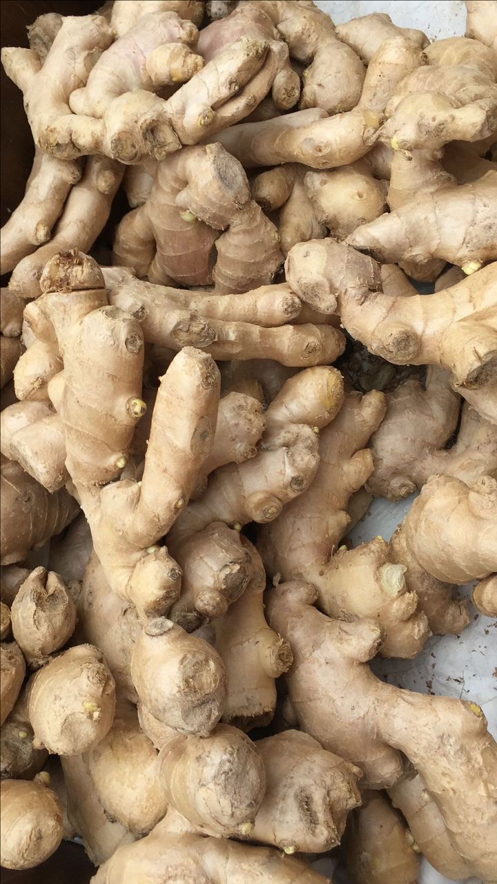 4d7e8104-276f-4b3b-a3c4-cd12c8b66152 (1)